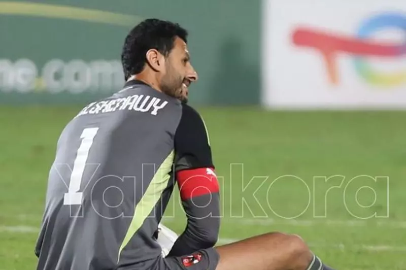 محمد الشناوي